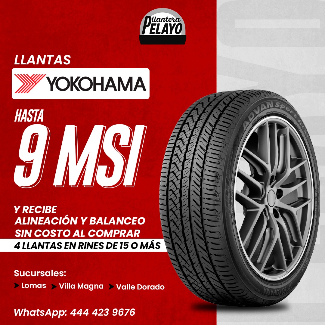 WhatsApp Image 2025-12-04 at 10.01.42 (1)